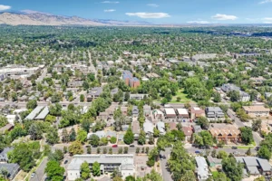Goss Commons