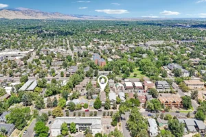 Goss Commons