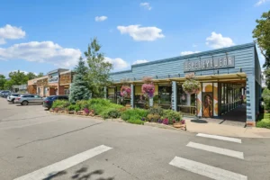 Goss Commons
