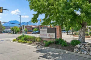 Goss Commons