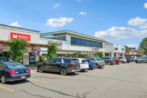 Goss Commons