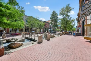 Goss Commons