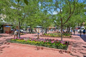 Goss Commons