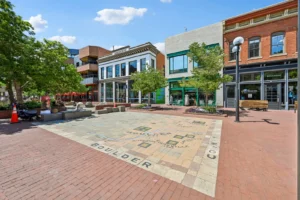 Goss Commons