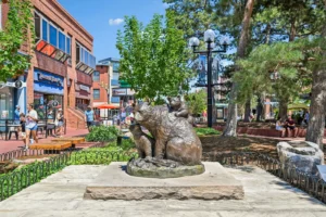 Goss Commons