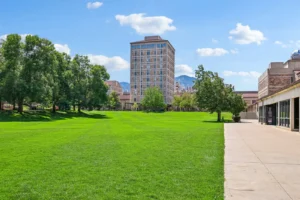 Goss Commons