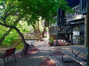 tree-lined community at 1920 Canyon Blvd, Boulder apartments for rent