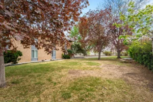 landscaped green space at Mohawk Junior, student housing Boulder, Colorado