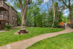 Community courtyard at The Cove, Boulder, CO apartments